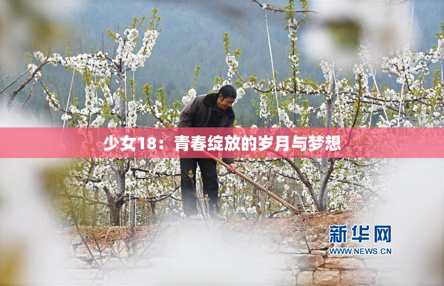 少女18：青春绽放的岁月与梦想