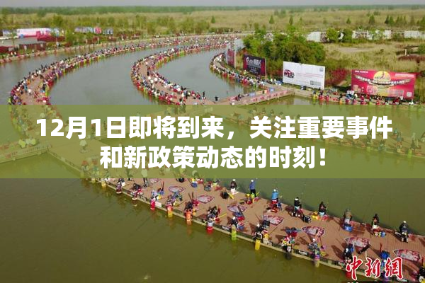 12月1日即将到来，关注重要事件和新政策动态的时刻！