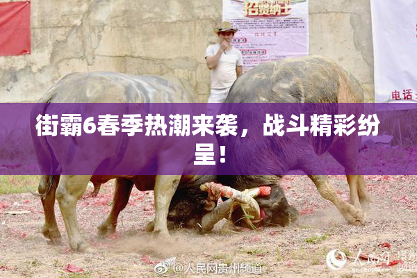 街霸6春季热潮来袭，战斗精彩纷呈！