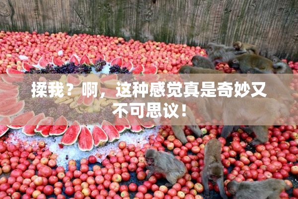 揉我？啊，这种感觉真是奇妙又不可思议！
