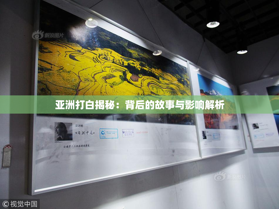 亚洲打白揭秘：背后的故事与影响解析