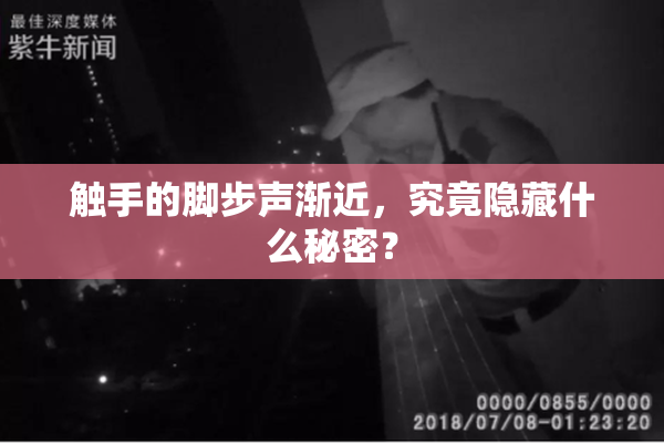 触手的脚步声渐近，究竟隐藏什么秘密？