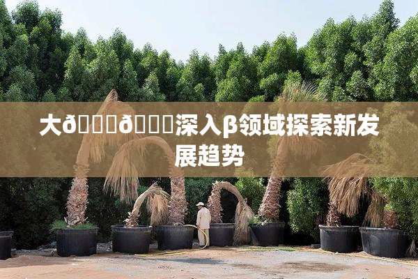 大🐔🐔深入β领域探索新发展趋势