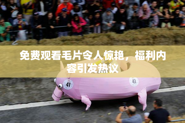 免费观看毛片令人惊艳，福利内容引发热议