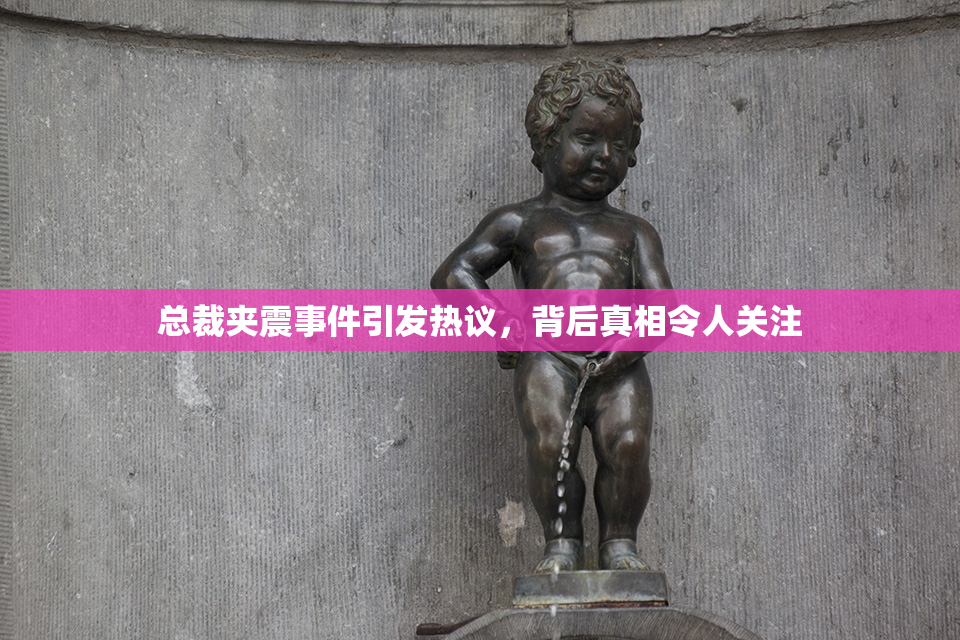 总裁夹震事件引发热议，背后真相令人关注