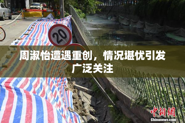 周淑怡遭遇重创，情况堪忧引发广泛关注