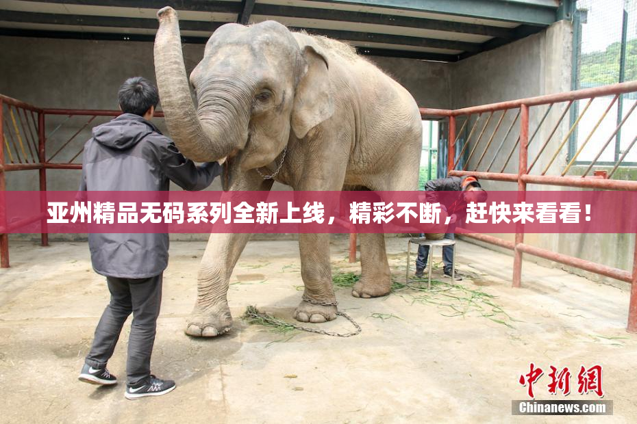 亚州精品无码系列全新上线，精彩不断，赶快来看看！
