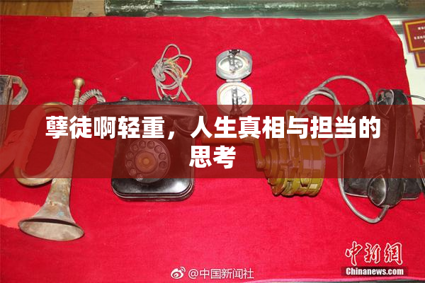孽徒啊轻重，人生真相与担当的思考