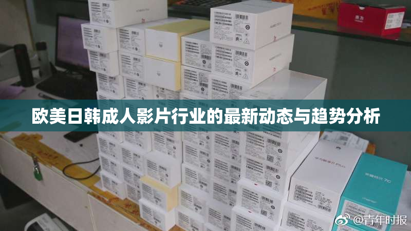 欧美日韩成人影片行业的最新动态与趋势分析