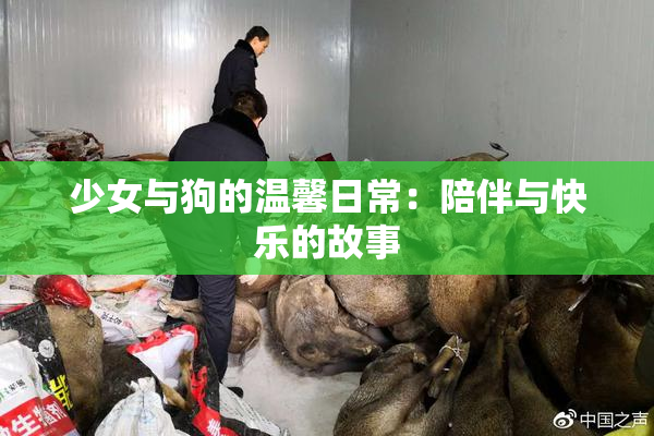少女与狗的温馨日常：陪伴与快乐的故事