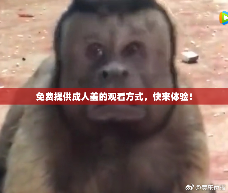 免费提供成人羞的观看方式，快来体验！