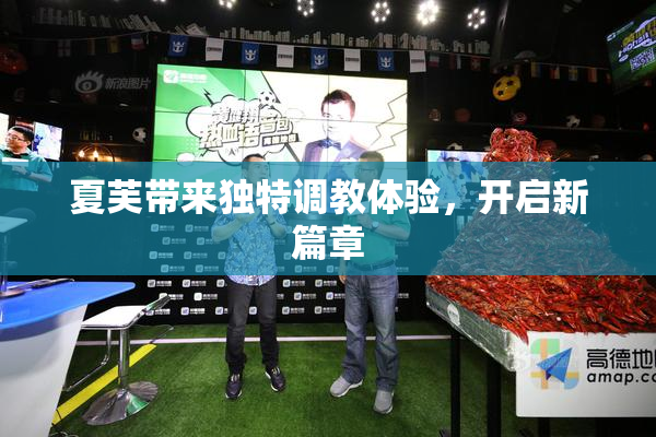 夏芙带来独特调教体验，开启新篇章