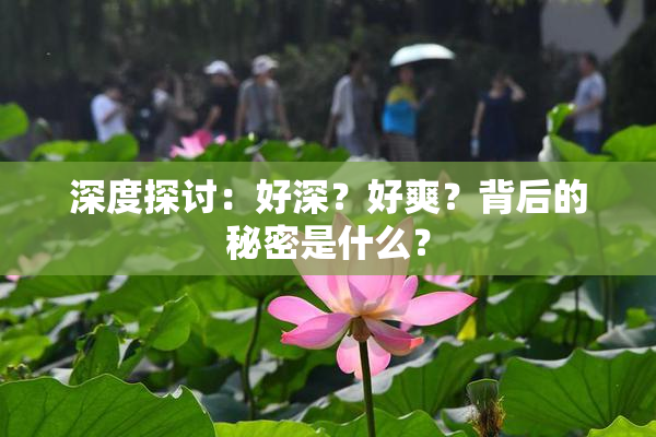 深度探讨：好深？好爽？背后的秘密是什么？