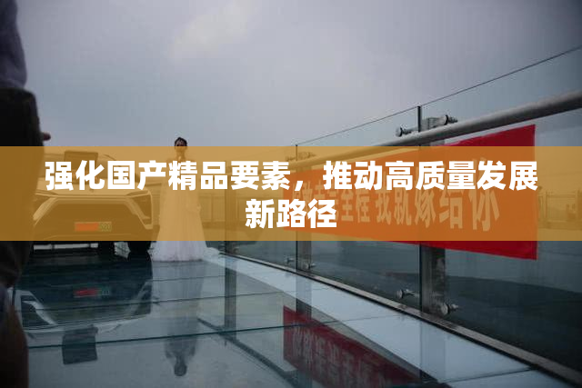 强化国产精品要素，推动高质量发展新路径