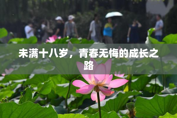 未满十八岁，青春无悔的成长之路