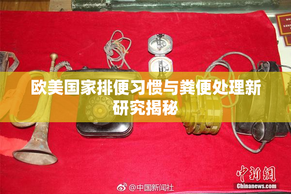欧美国家排便习惯与粪便处理新研究揭秘