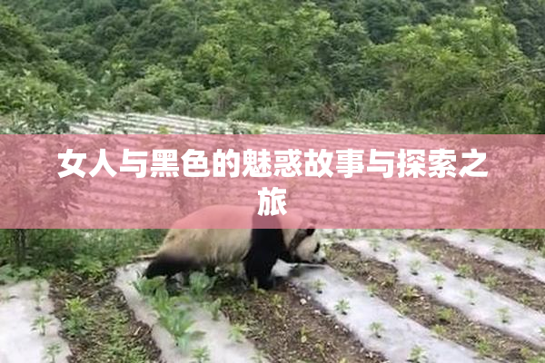 女人与黑色的魅惑故事与探索之旅