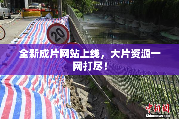 全新成片网站上线，大片资源一网打尽！
