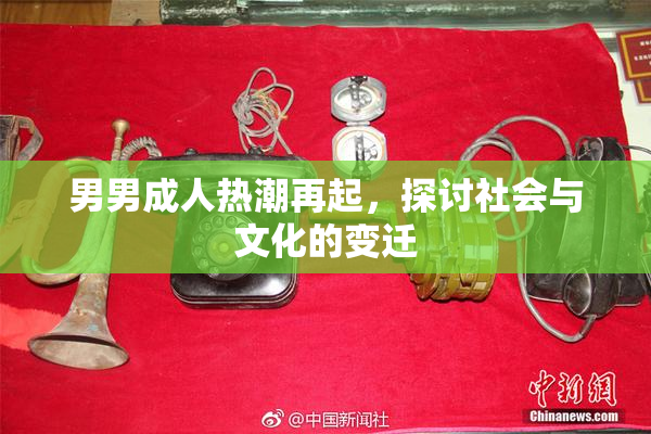 男男成人热潮再起，探讨社会与文化的变迁