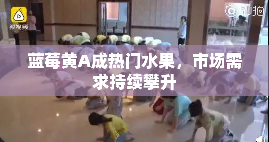 蓝莓黄A成热门水果，市场需求持续攀升