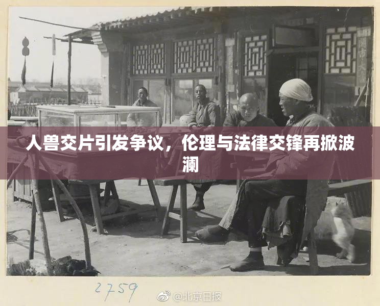 人兽交片引发争议，伦理与法律交锋再掀波澜
