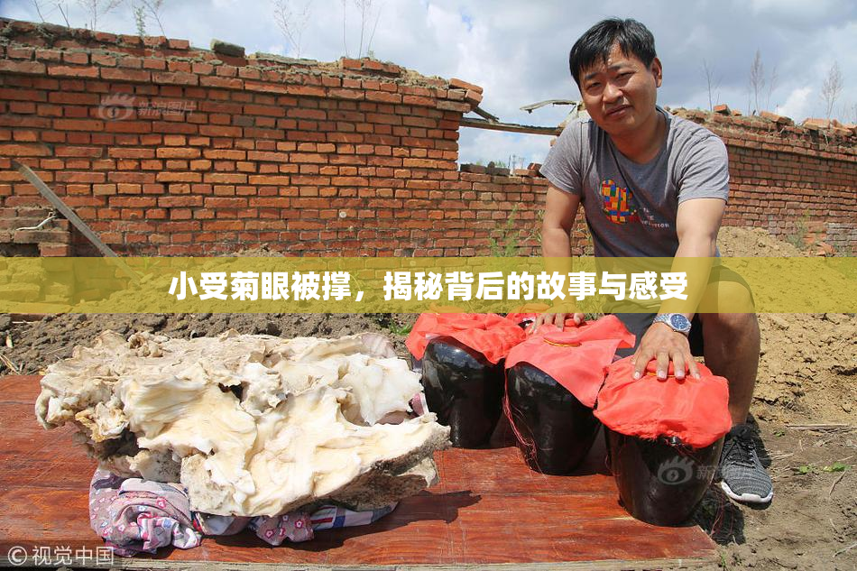 小受菊眼被撑，揭秘背后的故事与感受