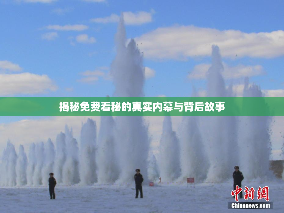 揭秘免费看秘的真实内幕与背后故事