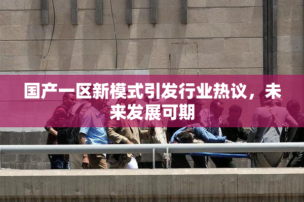国产一区新模式引发行业热议，未来发展可期