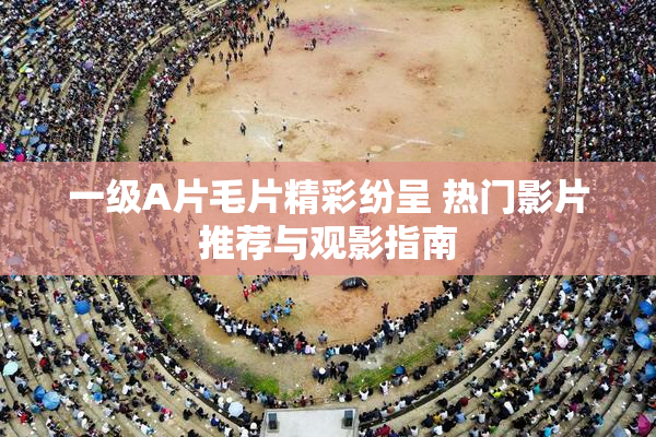 一级A片毛片精彩纷呈 热门影片推荐与观影指南