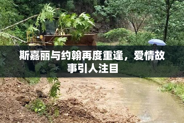 斯嘉丽与约翰再度重逢，爱情故事引人注目