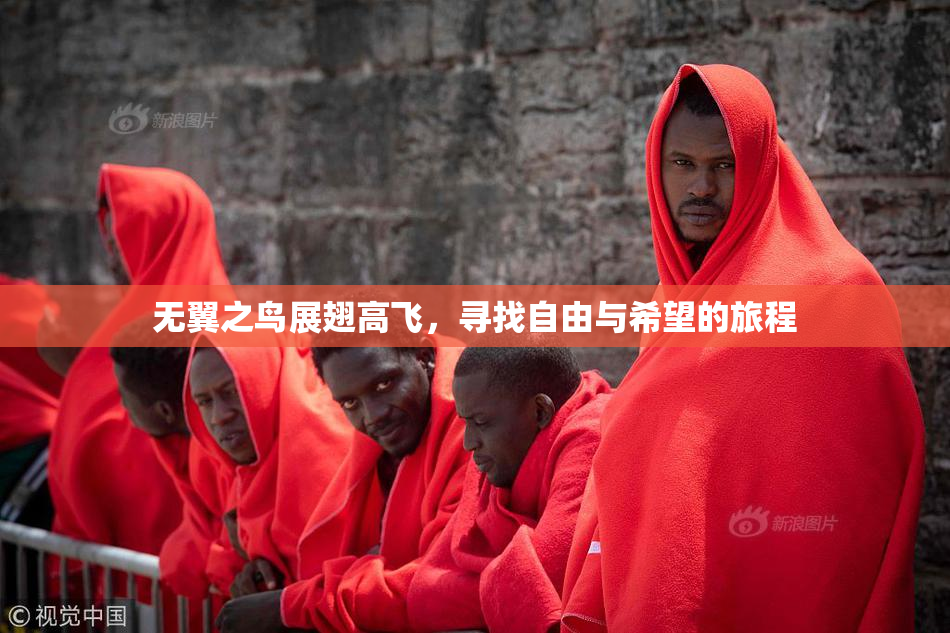无翼之鸟展翅高飞，寻找自由与希望的旅程