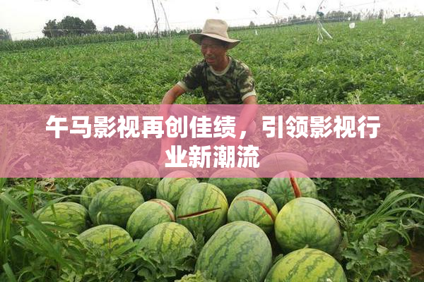 午马影视再创佳绩，引领影视行业新潮流