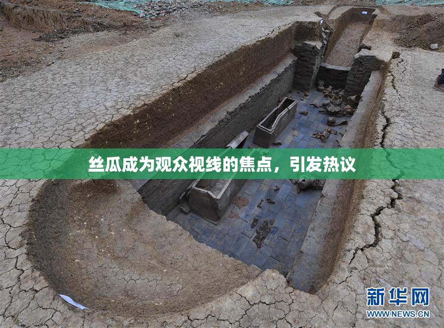 丝瓜成为观众视线的焦点，引发热议