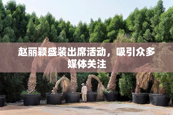 赵丽颖盛装出席活动，吸引众多媒体关注