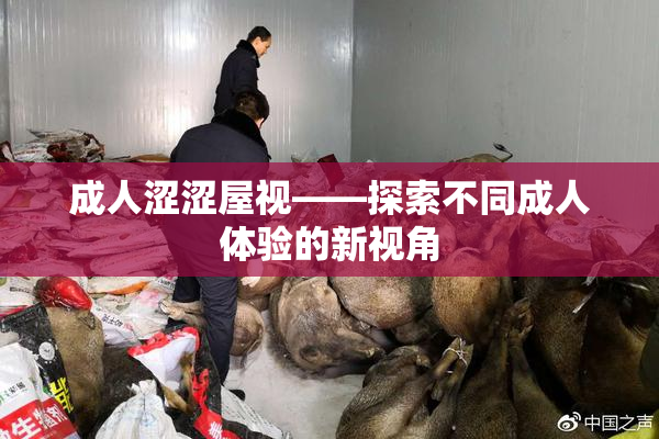 成人涩涩屋视——探索不同成人体验的新视角