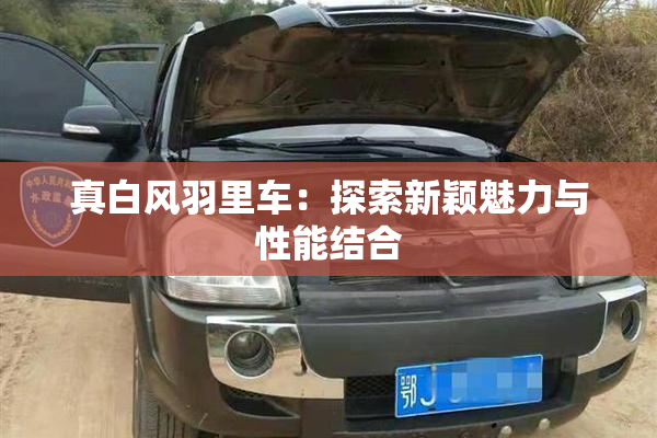 真白风羽里车：探索新颖魅力与性能结合