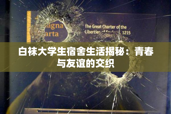 白袜大学生宿舍生活揭秘：青春与友谊的交织