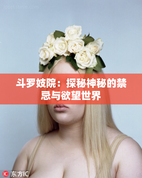 斗罗妓院：探秘神秘的禁忌与欲望世界