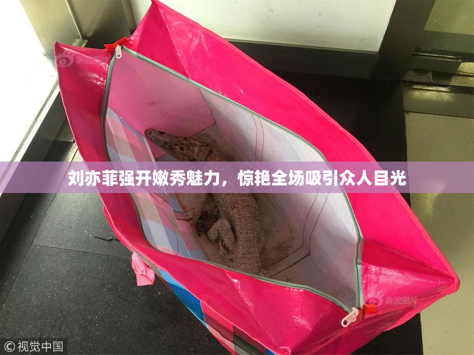 刘亦菲强开嫩秀魅力，惊艳全场吸引众人目光
