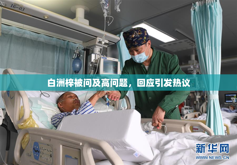 白洲梓被问及高问题，回应引发热议
