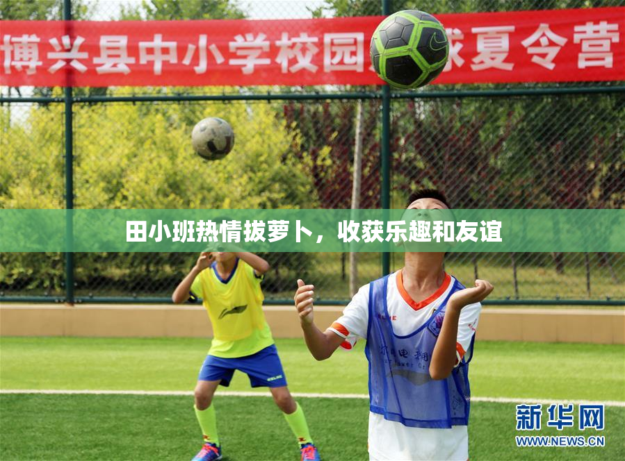 田小班热情拔萝卜，收获乐趣和友谊