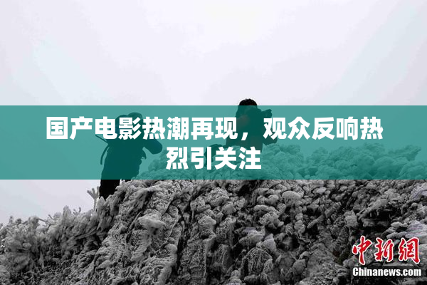 国产电影热潮再现，观众反响热烈引关注