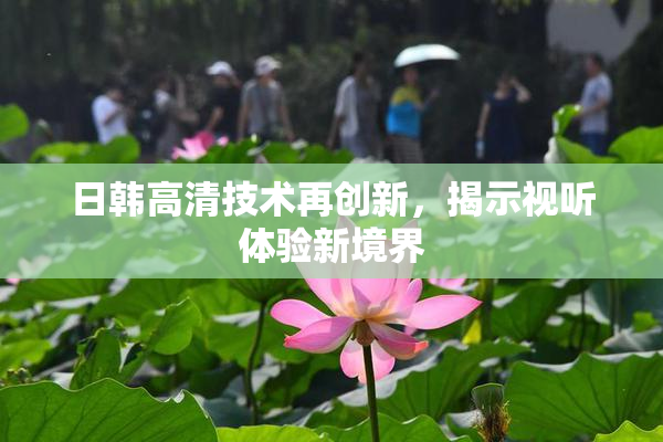 日韩高清技术再创新，揭示视听体验新境界