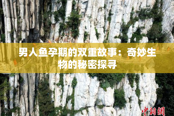 男人鱼孕期的双重故事：奇妙生物的秘密探寻
