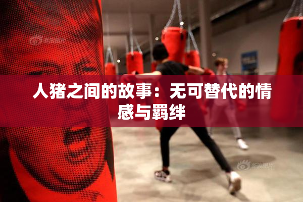 人猪之间的故事：无可替代的情感与羁绊