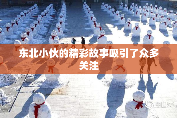 东北小伙的精彩故事吸引了众多关注