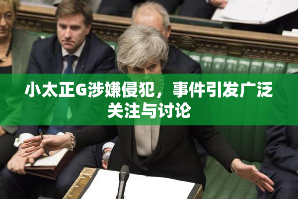 小太正G涉嫌侵犯，事件引发广泛关注与讨论