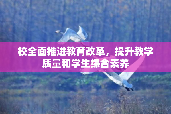校全面推进教育改革，提升教学质量和学生综合素养