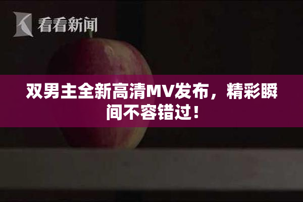 双男主全新高清MV发布，精彩瞬间不容错过！