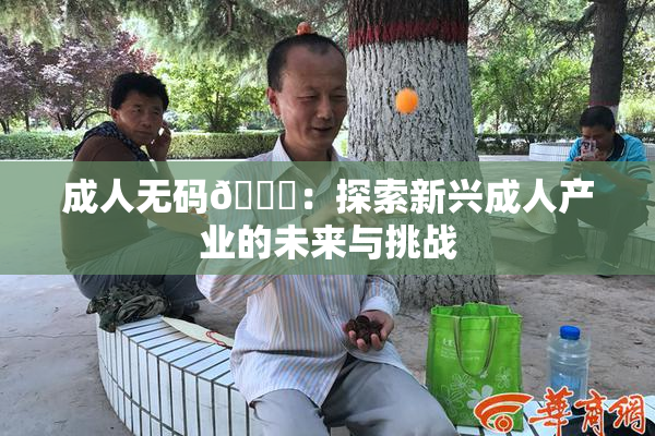 成人无码🔞：探索新兴成人产业的未来与挑战